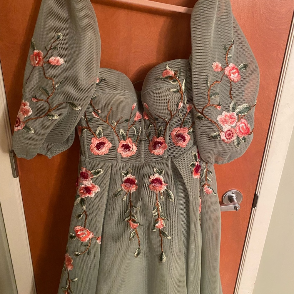 Teuta Matoshi Sage Green Maxi Dress with Pink Floral Embroidery - Picture 10 of 12